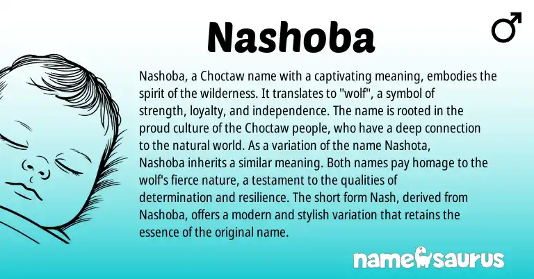 Infographic about Nashoba name meaning, Nashoba is a name from Choctaw origin(s).