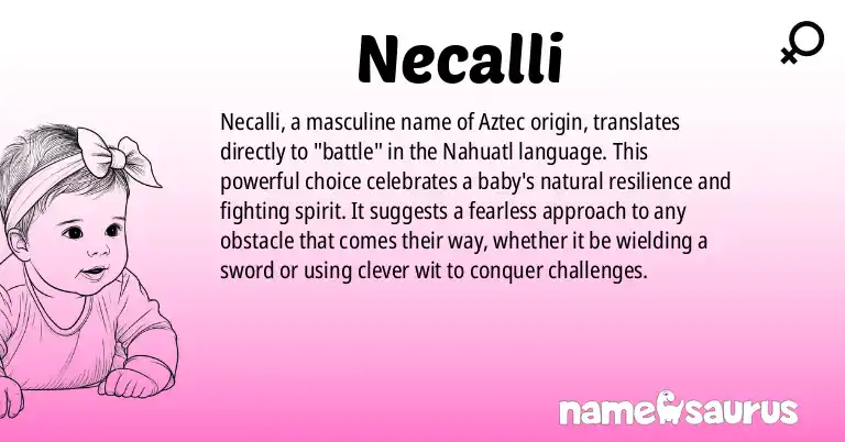 Infographic about Necalli name meaning, Necalli is a name from Aztec origin(s).
