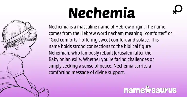 Infographic about Nechemia name meaning, Nechemia is a name from Hebrew origin(s).