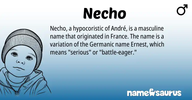 Infographic about Necho name meaning, Necho is a name from Germanic origin(s).