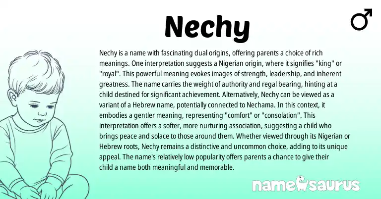 Infographic about Nechy name meaning, Nechy is a name from Nigerian origin(s).