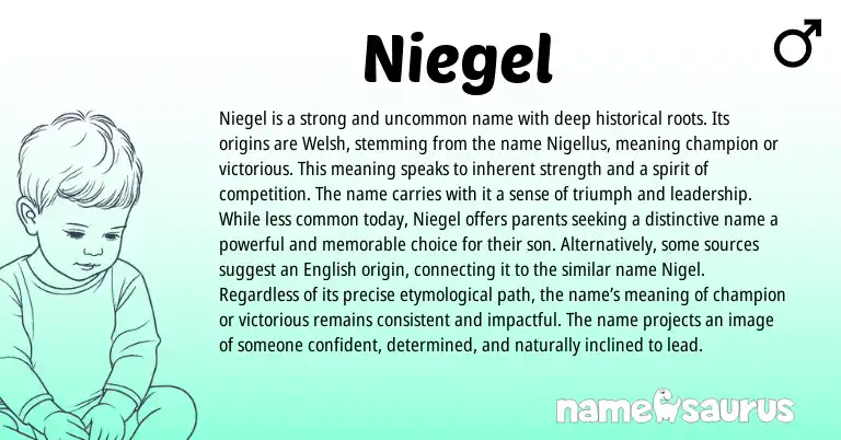 Infographic about Niegel name meaning, Niegel is a name from Welsh, English origin(s).