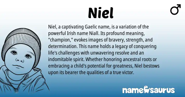 Infographic about Niel name meaning, Niel is a name from Irish, Gaelic origin(s).