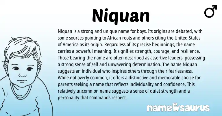 Infographic about Niquan name meaning, Niquan is a name from African origin(s).