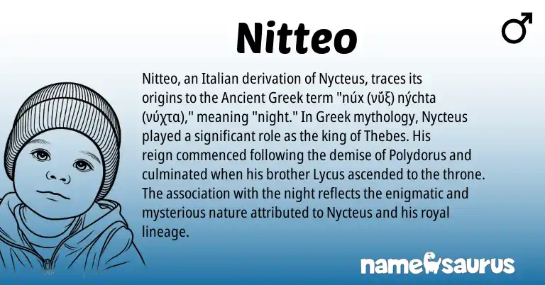 Infographic about Nitteo name meaning, Nitteo is a name from Ancient Greek, Greek, Italian origin(s).