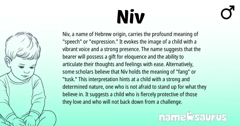Infographic about Niv name meaning, Niv is a name from Hebrew origin(s).