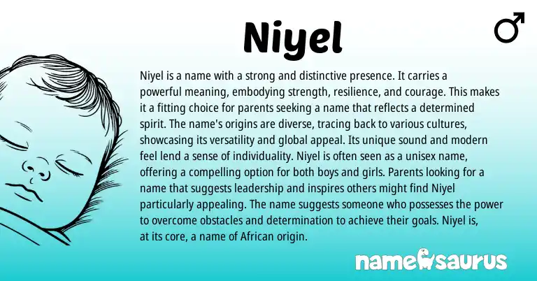 Infographic about Niyel name meaning, Niyel is a name from African origin(s).