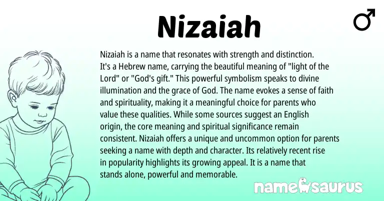 Infographic about Nizaiah name meaning, Nizaiah is a name from Hebrew origin(s).