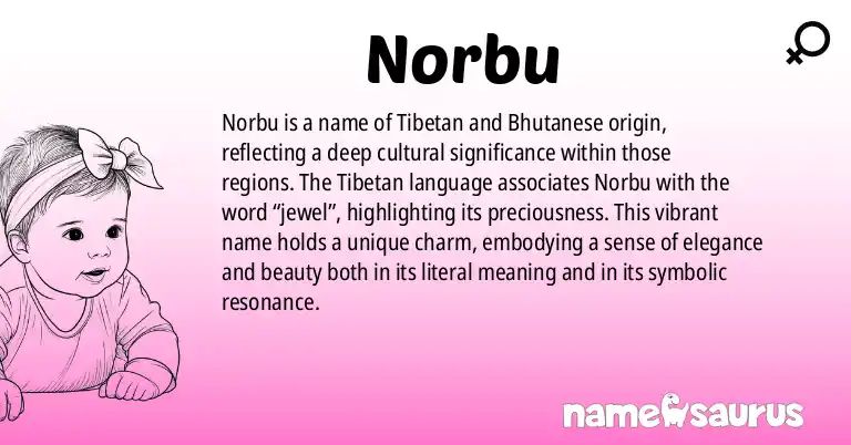 Infographic about Norbu name meaning, Norbu is a name from Tibetan, Bhutanese origin(s).