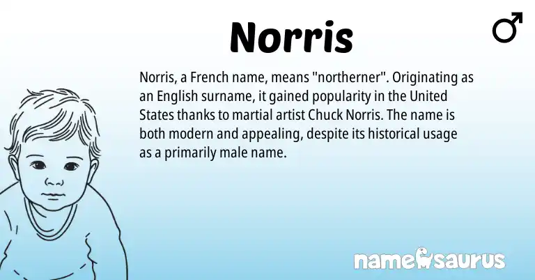 Infographic about Norris name meaning, Norris is a name from English, French, United States origin(s).