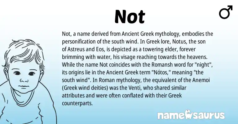 Infographic about Not name meaning, Not is a name from Romansh, Ancient Greek, Roman, Greek origin(s).
