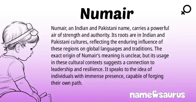 Infographic about Numair name meaning, Numair is a name from Indian, Pakistani origin(s).