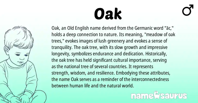Infographic about Oak name meaning, Oak is a name from Old English, Germanic origin(s).