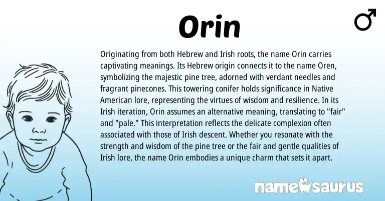 Infographic about Orin name meaning, Orin is a name from Irish, Native American, Hebrew origin(s).