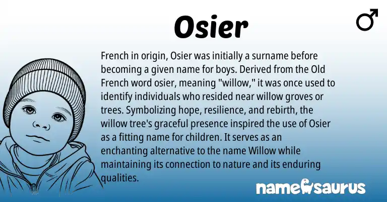 Infographic about Osier name meaning, Osier is a name from French, Old French origin(s).