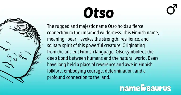 Infographic about Otso name meaning, Otso is a name from Finnish origin(s).