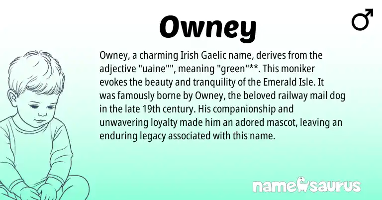 Infographic about Owney name meaning, Owney is a name from Irish, Gaelic origin(s).