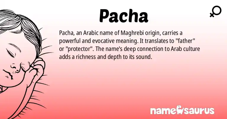 Infographic about Pacha name meaning, Pacha is a name from Arabic (Maghrebi) origin(s).