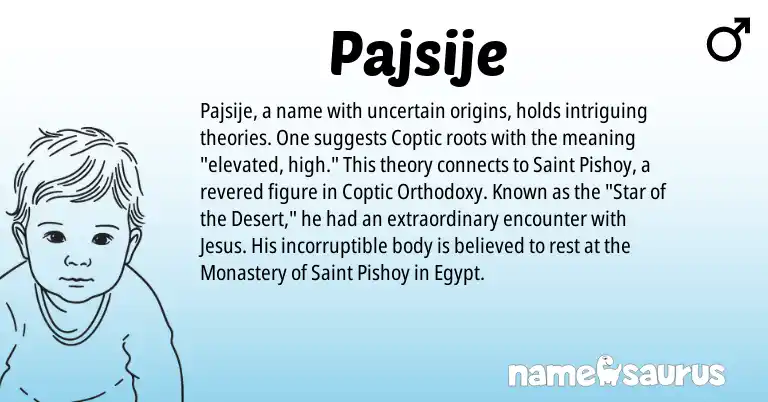 Infographic about Pajsije name meaning, Pajsije is a name from Coptic origin(s).