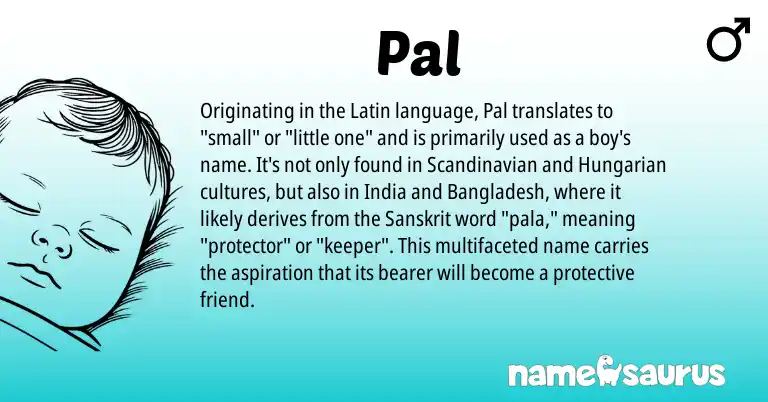Infographic about Pal name meaning, Pal is a name from Scandinavian, Hungarian, Latin, Sanskrit origin(s).