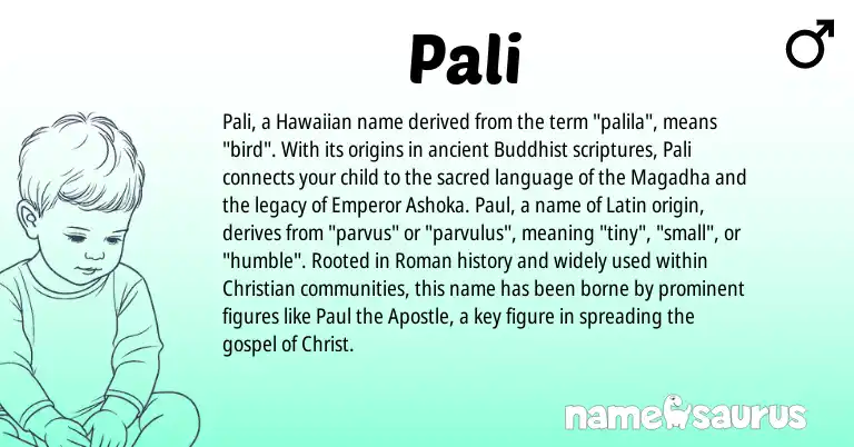 Infographic about Pali name meaning, Pali is a name from Roman, Latin, Hawaiian origin(s).