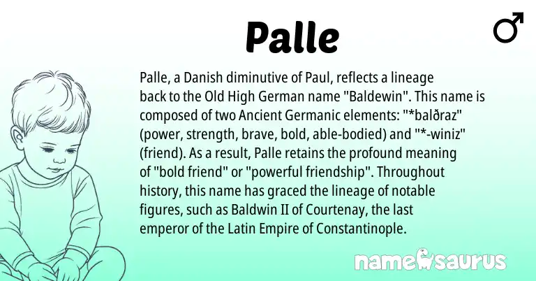 Infographic about Palle name meaning, Palle is a name from Old High German, Latin, Danish, Ancient Germanic origin(s).