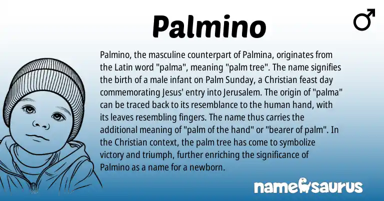 Infographic about Palmino name meaning, Palmino is a name from Latin origin(s).