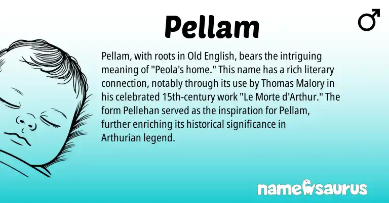 Infographic about Pellam name meaning, Pellam is a name from Old English, Arthurian origin(s).