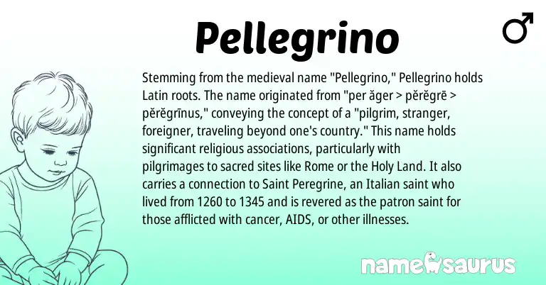 Infographic about Pellegrino name meaning, Pellegrino is a name from Latin, Italian origin(s).