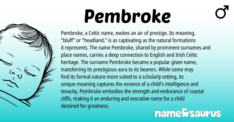 Infographic about Pembroke name meaning, Pembroke is a name from Irish, English, Celtic origin(s).