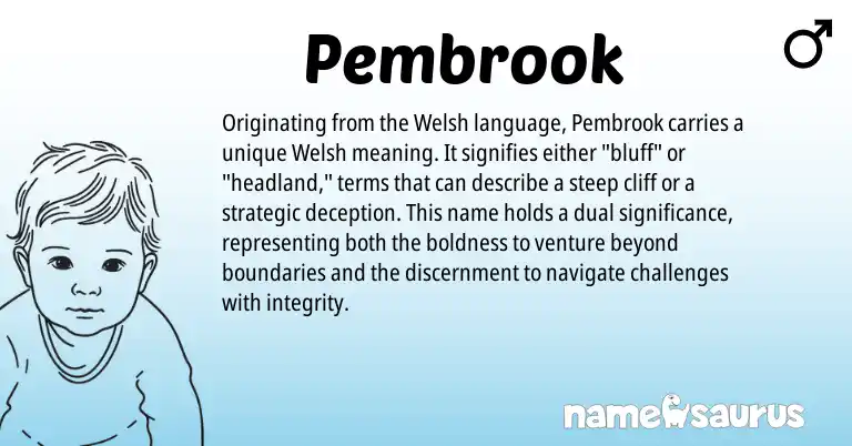 Infographic about Pembrook name meaning, Pembrook is a name from Welsh origin(s).