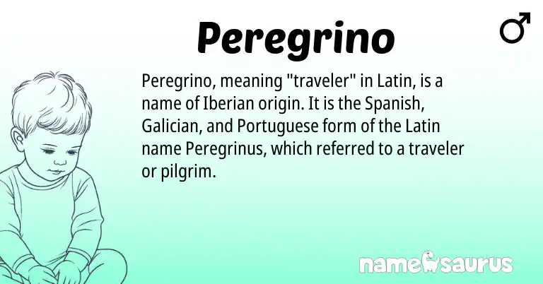 Infographic about Peregrino name meaning, Peregrino is a name from Galician, Spanish, Latin, Portuguese origin(s).