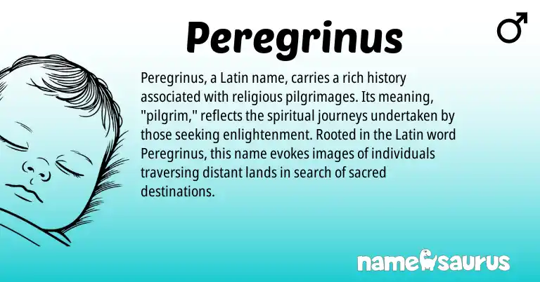 Infographic about Peregrinus name meaning, Peregrinus is a name from Latin origin(s).