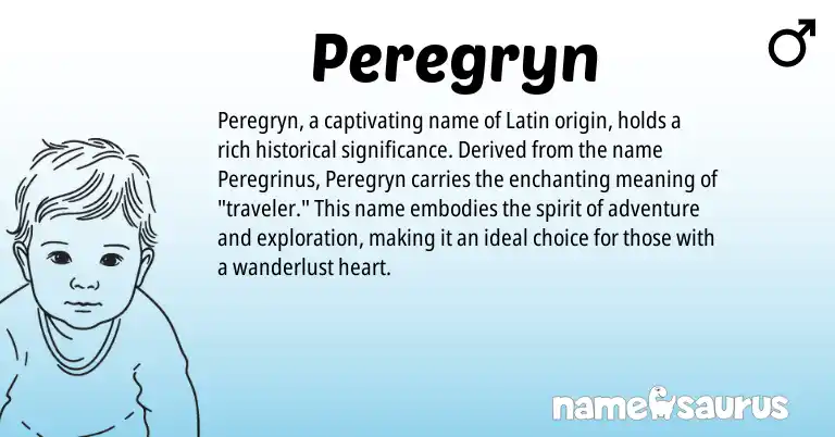 Infographic about Peregryn name meaning, Peregryn is a name from Latin origin(s).