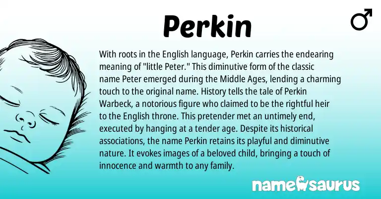 Infographic about Perkin name meaning, Perkin is a name from English origin(s).