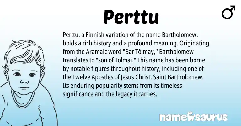 Infographic about Perttu name meaning, Perttu is a name from Aramaic, Finnish origin(s).