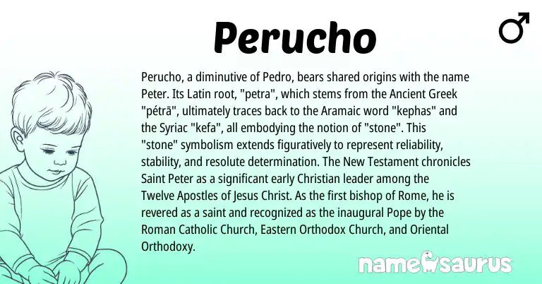 Infographic about Perucho name meaning, Perucho is a name from Aramaic, Ancient Greek, Roman, Latin origin(s).