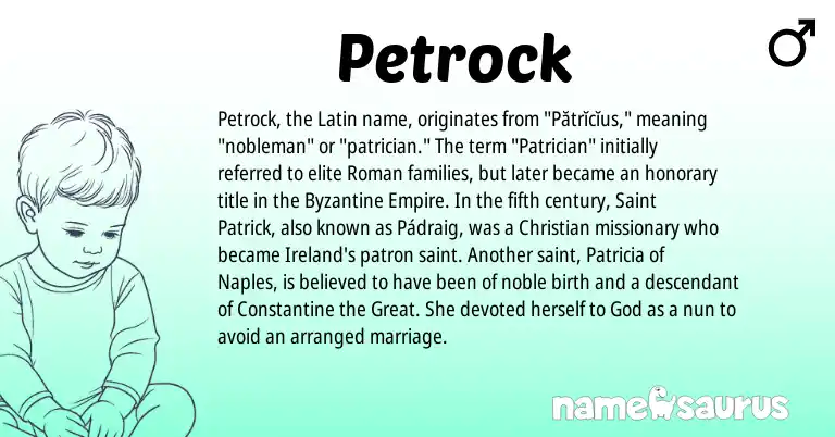 Infographic about Petrock name meaning, Petrock is a name from Roman, Ireland, Latin origin(s).