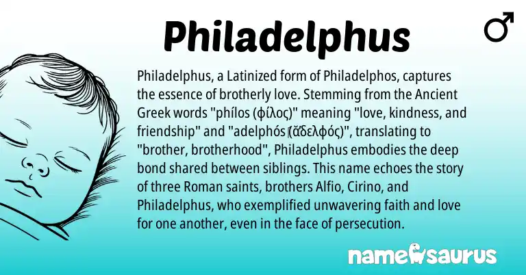Infographic about Philadelphus name meaning, Philadelphus is a name from Ancient Greek, Roman origin(s).