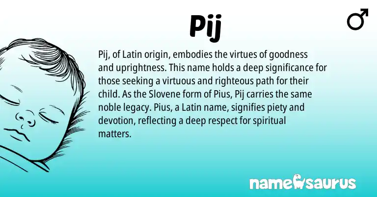 Infographic about Pij name meaning, Pij is a name from Slovene, Latin origin(s).