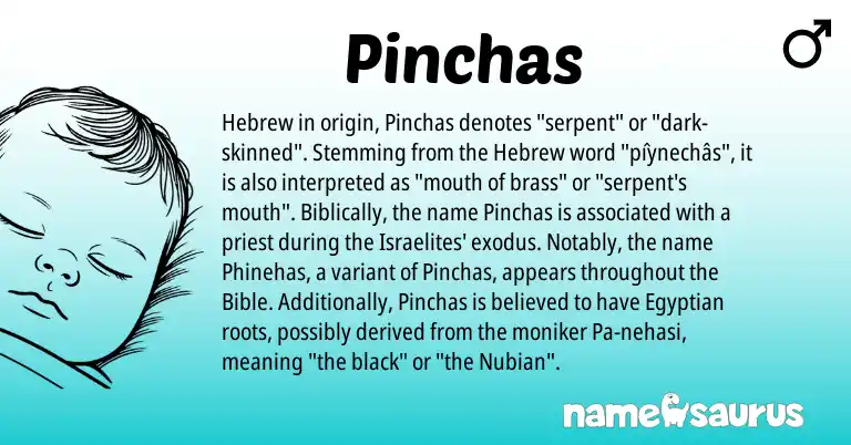 Infographic about Pinchas name meaning, Pinchas is a name from Egyptian, Hebrew origin(s).