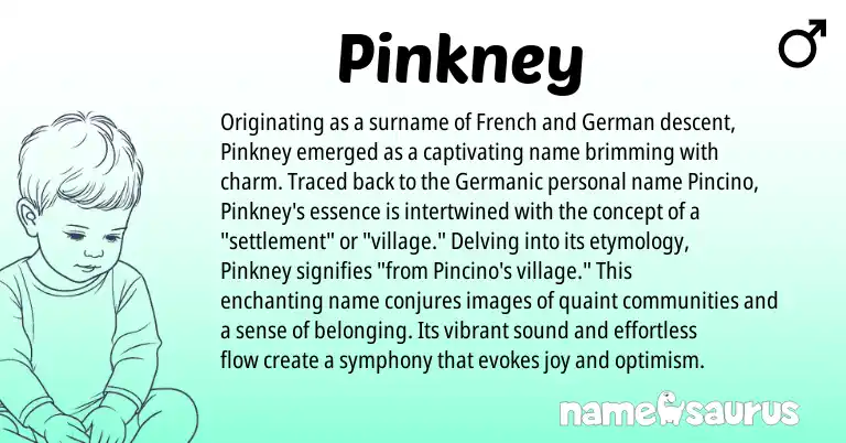 Infographic about Pinkney name meaning, Pinkney is a name from German, French, Germanic origin(s).