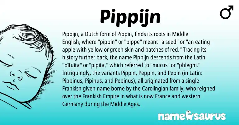 Infographic about Pippijn name meaning, Pippijn is a name from Middle English, Dutch, Latin, Frankish origin(s).