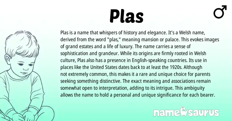 Infographic about Plas name meaning, Plas is a name from Welsh origin(s).
