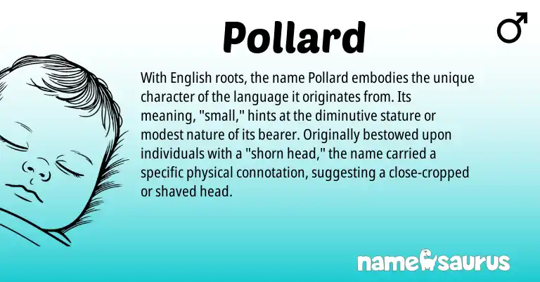 Infographic about Pollard name meaning, Pollard is a name from English origin(s).