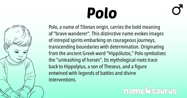 Infographic about Polo name meaning, Polo is a name from Tibetan, Greek origin(s).
