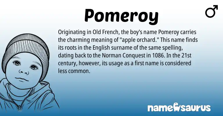 Infographic about Pomeroy name meaning, Pomeroy is a name from English, Norman, Old French origin(s).