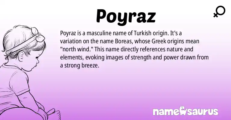Infographic about Poyraz name meaning, Poyraz is a name from Turkish origin(s).