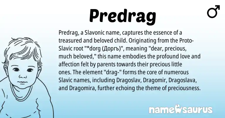 Infographic about Predrag name meaning, Predrag is a name from Slavic origin(s).