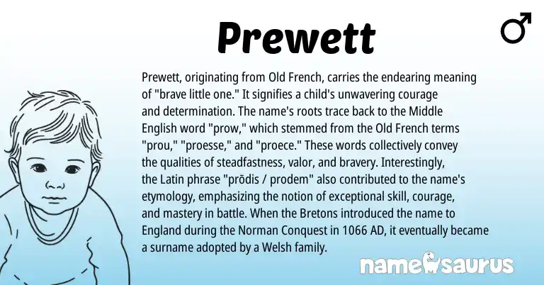 Infographic about Prewett name meaning, Prewett is a name from Welsh, Old French, England, Bretons, Latin, Middle English, Norman origin(s).